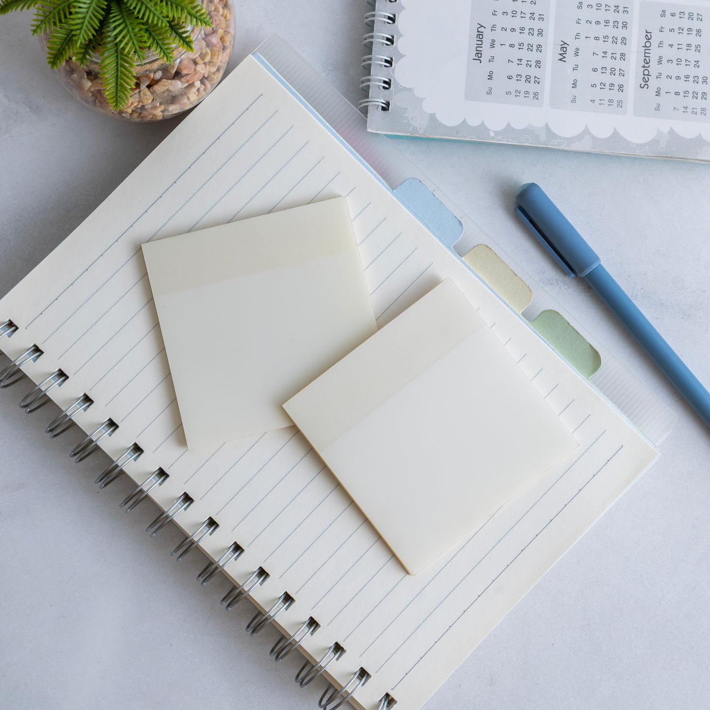Trasnperant Sticky Notes (Set of 2)